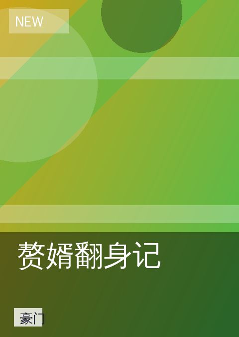 赘婿翻身记